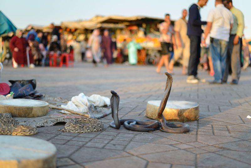 12 dí­as descubriendo marruecos desde tánger