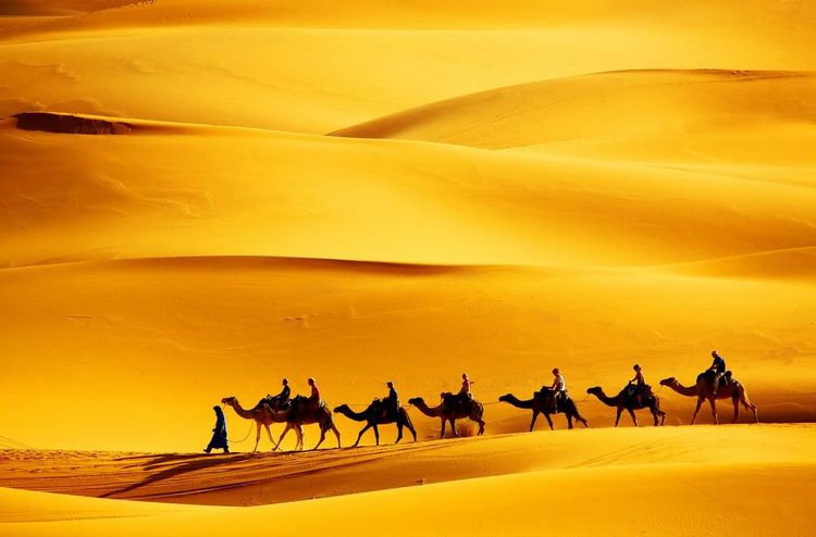 Excursão de 3 dias: Fes para Marrakech via Sahara