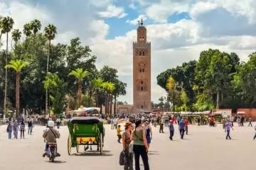 paseo en calesa por el palmeral de marrakech