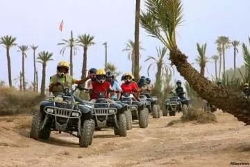 quad-biking and camel riding tour in the palm grove