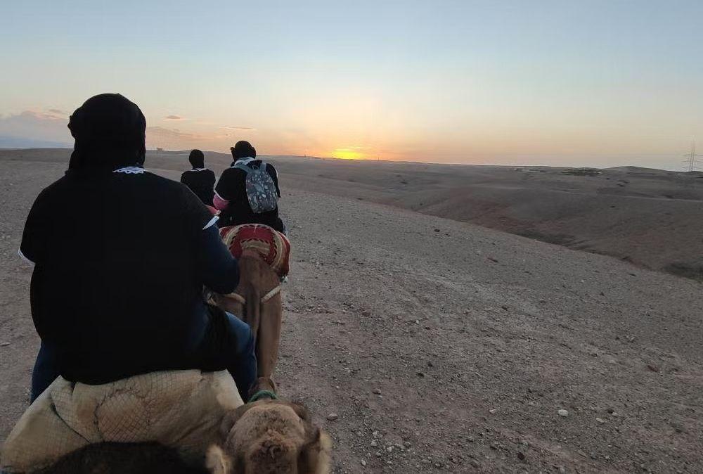 agafay desert quad biking and camel ride with dinner show