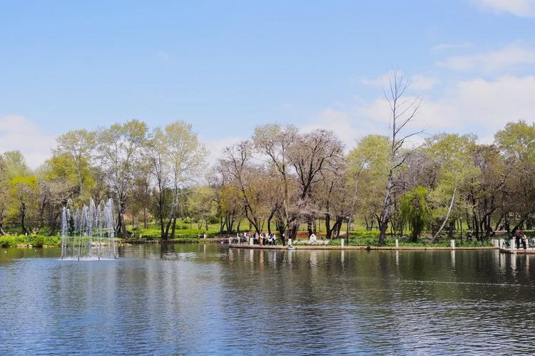 Excursion d'une journée à Sefrou, Ifrane et Azrou