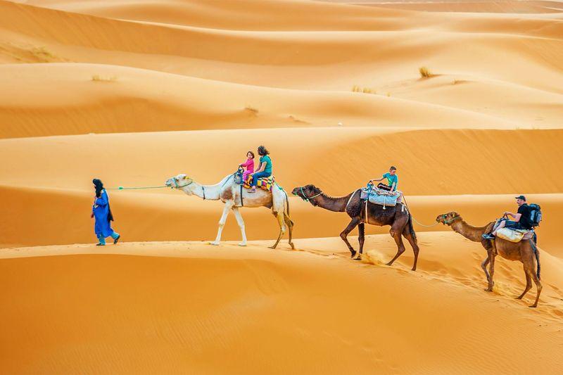 Morocco Express: 6 days Tour from Marrakech