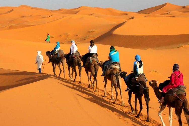 Camel trekking and overnight stay in Erg Chebbi sand dunes