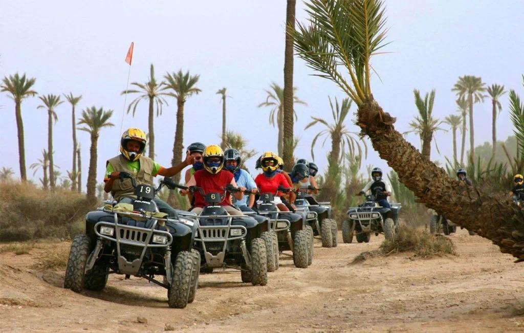 quad-biking and camel riding tour in the palm grove