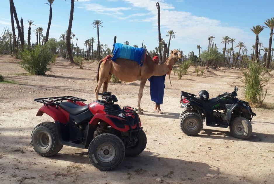 Paseo en quad por el palmeral de Marrakech