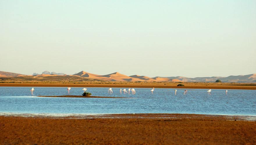 The lake of Merzouga