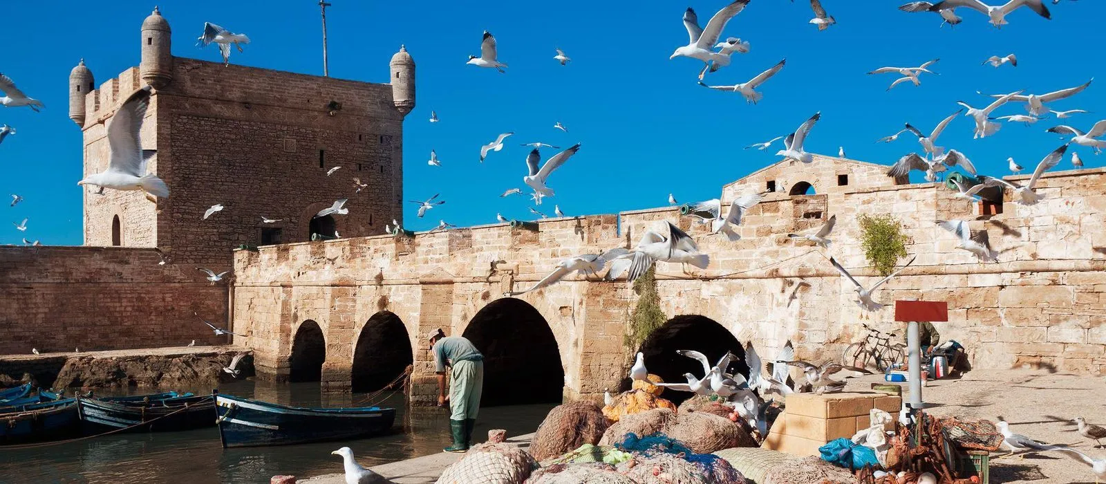 essaouira la ville bleue